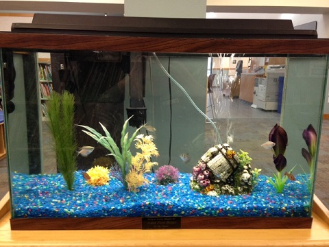 Fish tank in the Children's Department